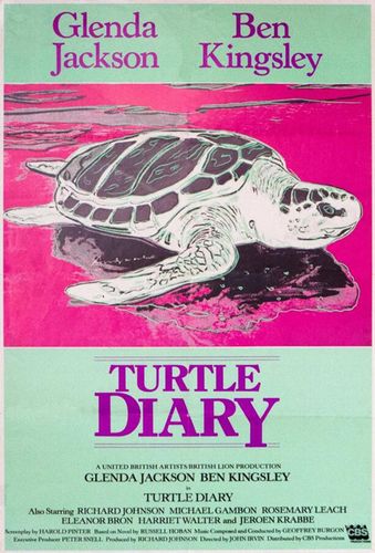 海龟日记