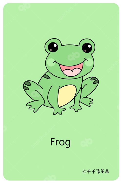 青蛙英语的相关图片